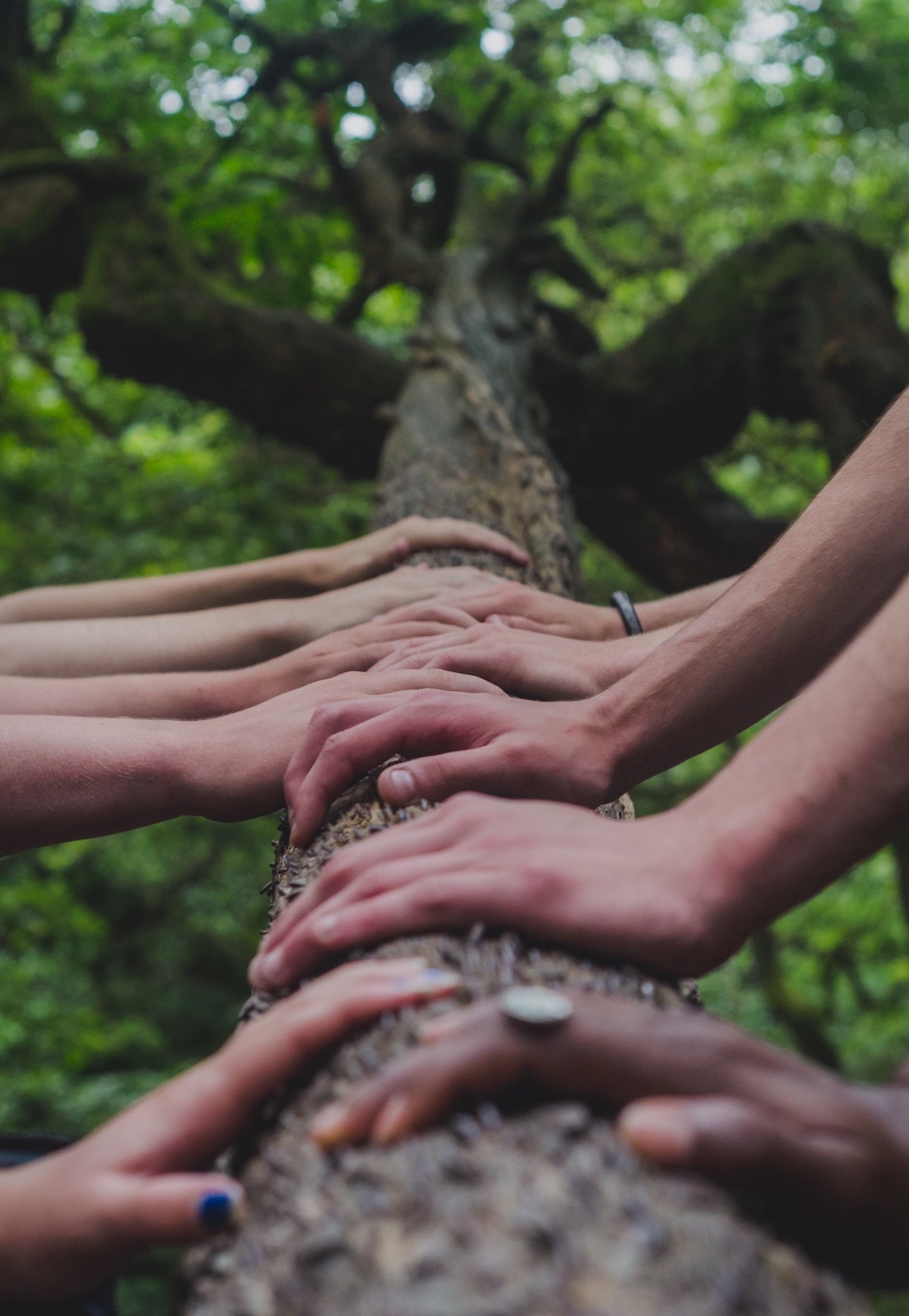 shane-rounce-682783-unsplash