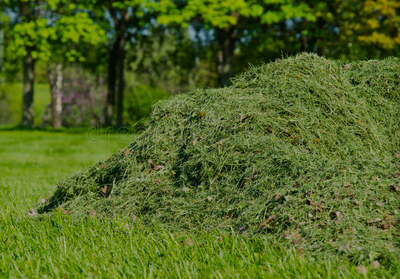 Erba verde tagliata, cosa significa?